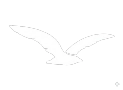 Icône de mouette